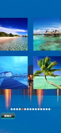 Tropical Puzzles screenshot