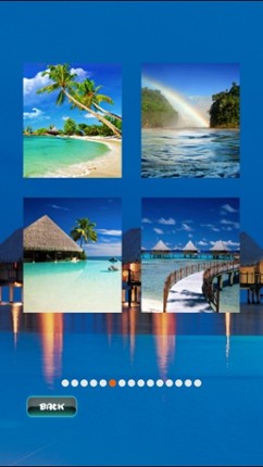 Tropical Puzzles screenshot