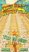 Crazy Horse Subway Surf Image