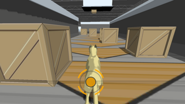 Fetch & Run Image