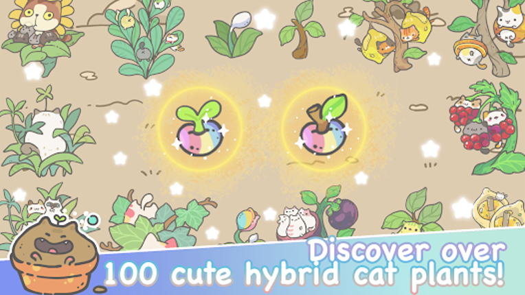 My CatPots Image