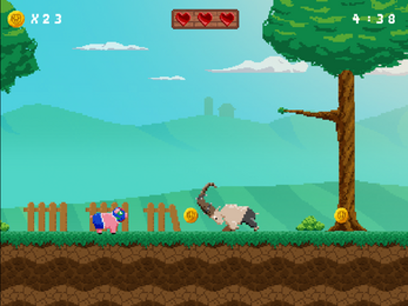 Battle Pigs Image