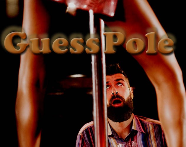 Games like Guess Pole