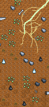 Launch Your Seed Image
