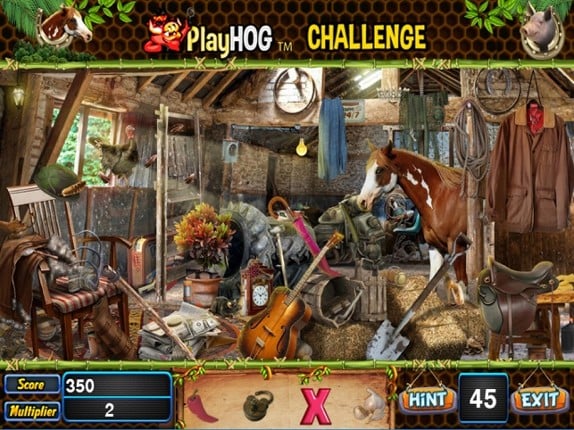 Horse Shoe Hidden Objects Game screenshot