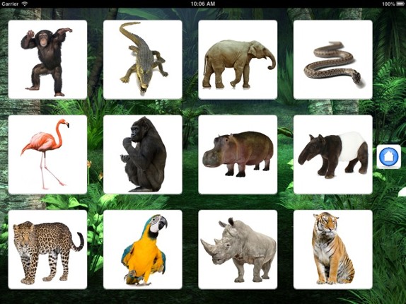 Sounds of Jungle screenshot