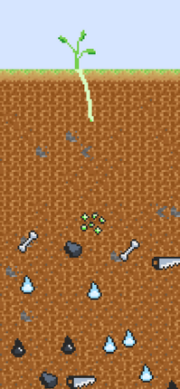 Launch Your Seed Image