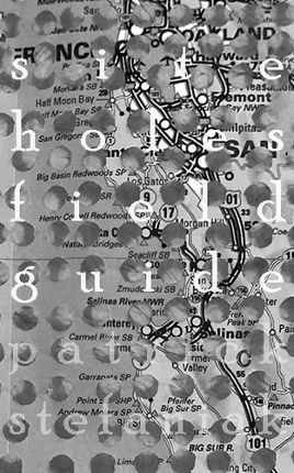 site holes Image