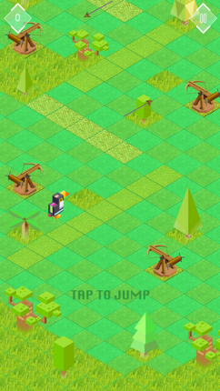 Toucan Hop Image