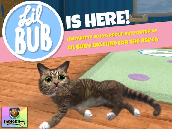 InstaKitty3D screenshot