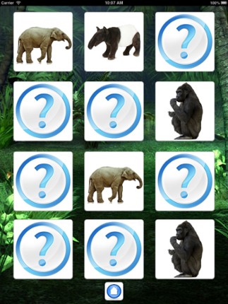 Sounds of Jungle screenshot