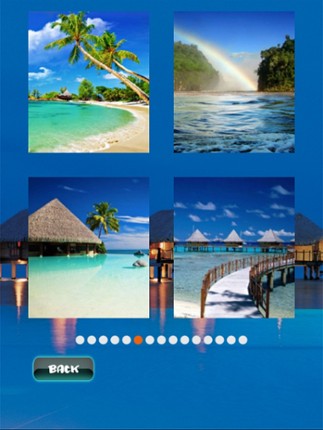 Tropical Puzzles screenshot