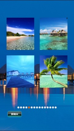 Tropical Puzzles screenshot