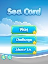 Card Rush: Funny Sea Animal Image