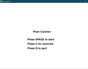 2 Player Pixel Catcher Image