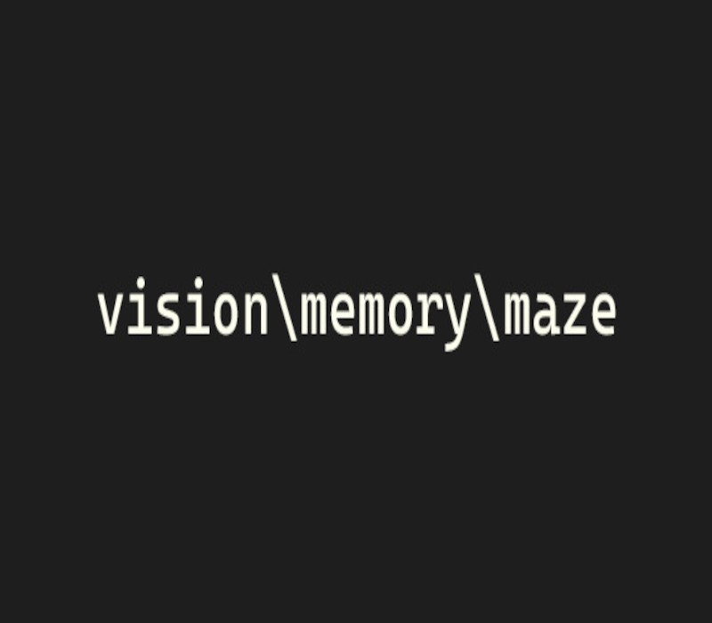 Games like vision\memory\maze