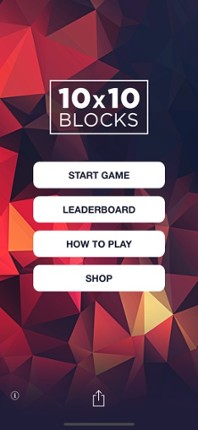 10x10 Blocks screenshot