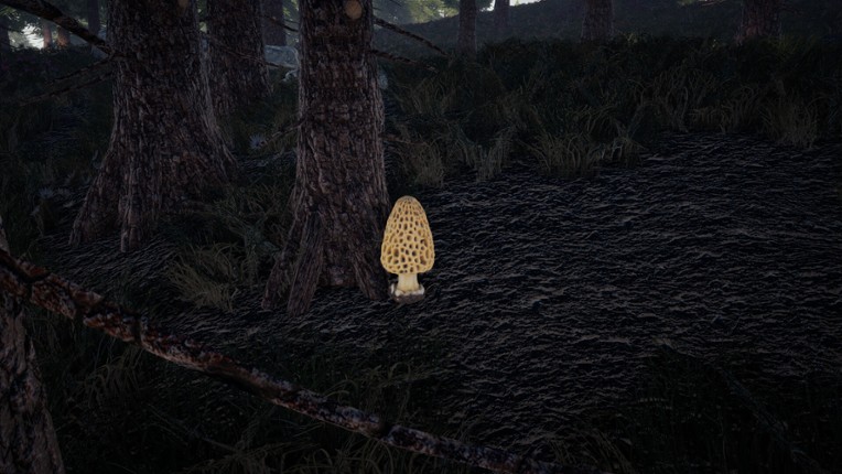 Forager's Finds screenshot