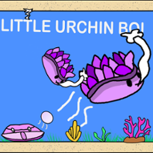 Little Urchin Boi Image