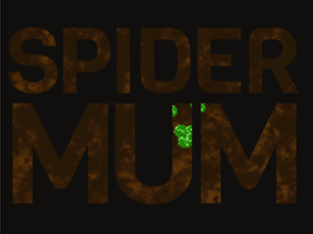 Spider Mum Image