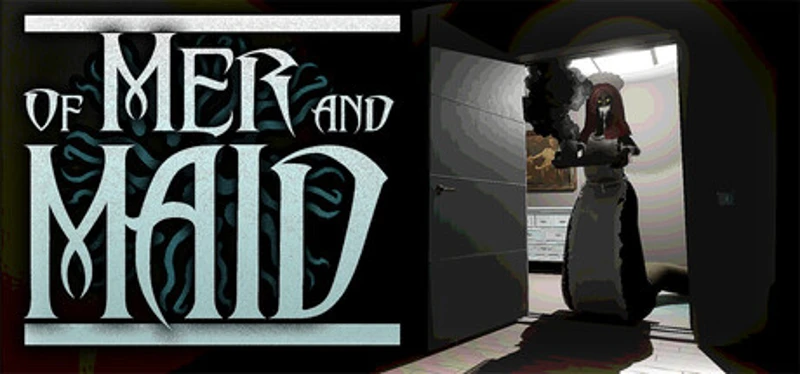 of MER and MAID Image