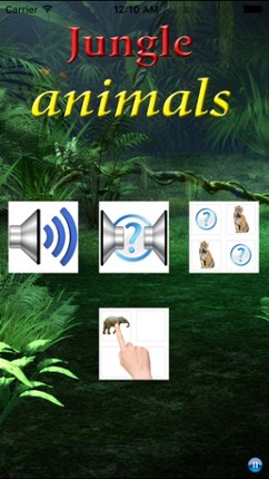 Sounds of Jungle screenshot