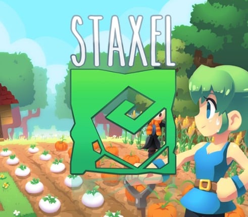 Staxel Image
