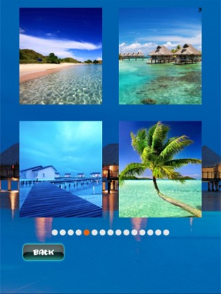 Tropical Puzzles screenshot