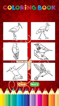 Bird Coloring Book - Activities for Kid Image