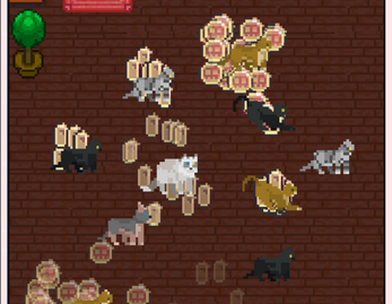 Cats playroom Image