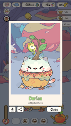 My CatPots Image