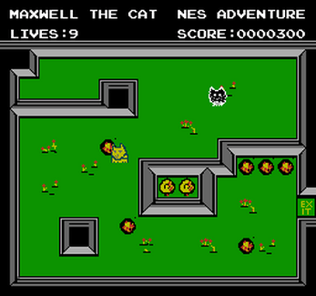 Maxwell The Cat - NES adventure screenshot