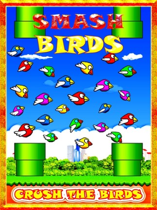 Smash Birds: Fun and Cool for Boys Girls and Kids Image