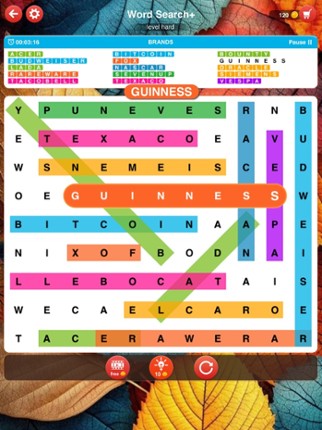 Word Search Plus screenshot