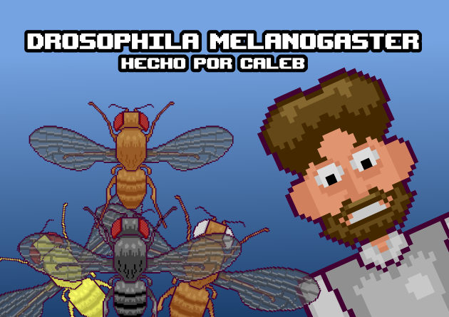Games like Drosophila Melanogaster