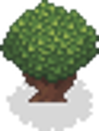 MageShroom Image