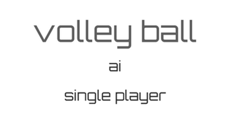 VolleyBall Image