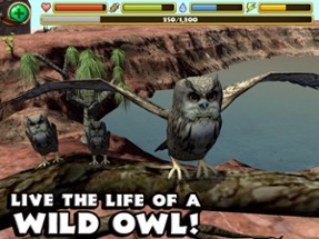 Owl Simulator Image