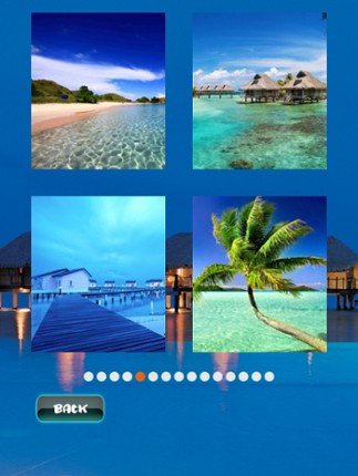 Tropical Puzzles screenshot