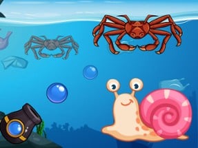 Crab Shooter Image