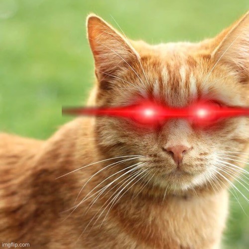 Games like FNF: Cat Stuff