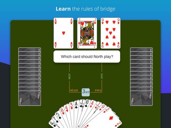 Fun Bridge screenshot