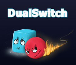 DualSwitch Image