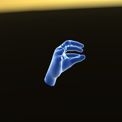 HandSignVR Image