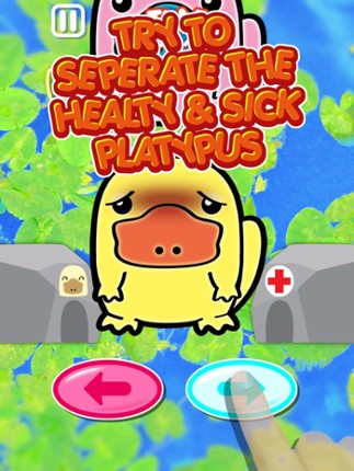 Littlest Smart Platypus Playground | My Lovable Wild Animals Friends Game screenshot