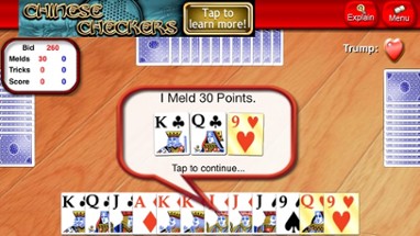 Pinochle Lite Image