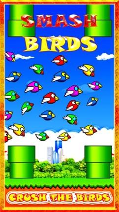 Smash Birds: Fun and Cool for Boys Girls and Kids Image