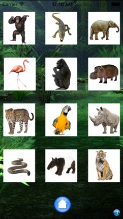 Sounds of Jungle screenshot