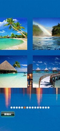 Tropical Puzzles Image