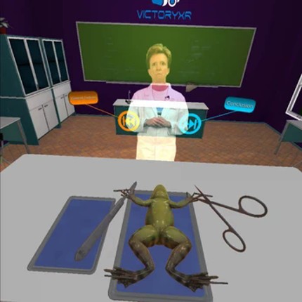 VR Frog Dissection: Ribbit-ing Discoveries Image